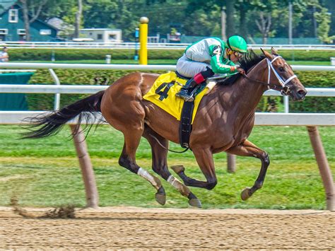 Thoroughbred Horse Racing .